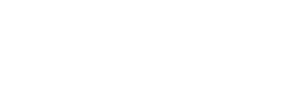 Intermoda Shoes Logo
